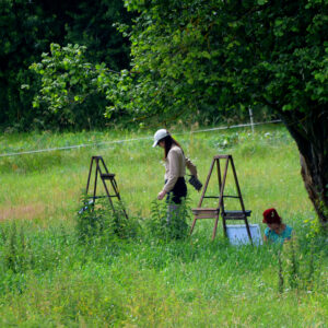 Fot. Andrzej B Gawrylczyk